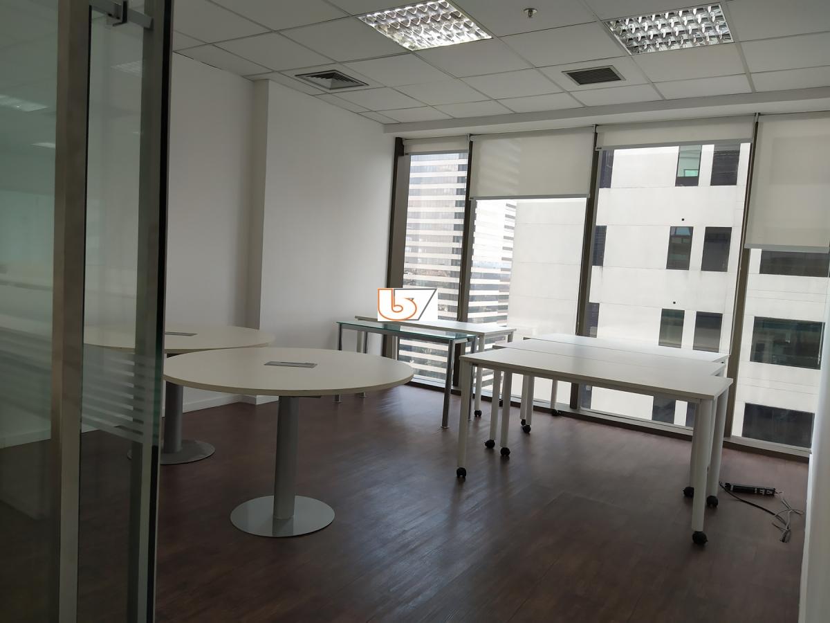 Sala-Conjunto, 1320 m² - Foto 44