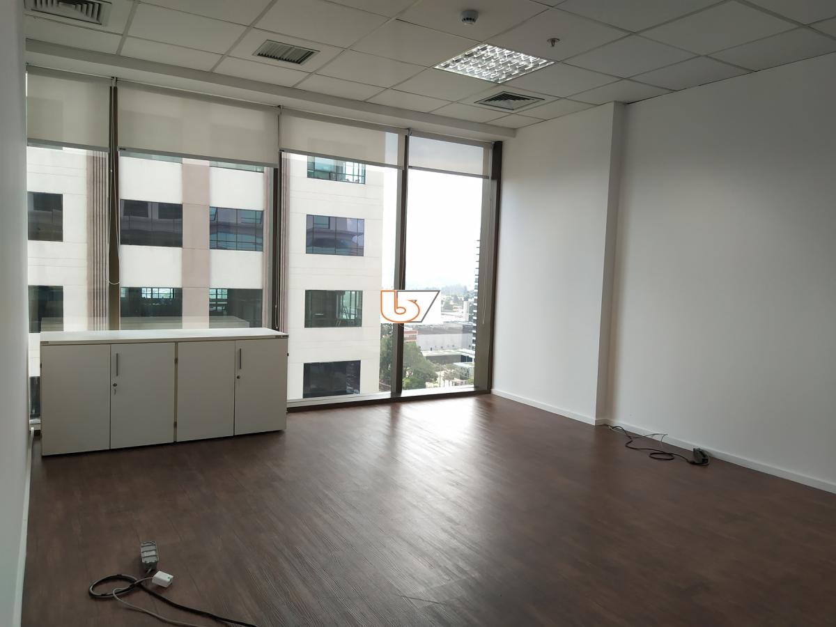 Sala-Conjunto, 1320 m² - Foto 45