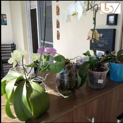 Apartamento, 4 quartos, 105 m² - Foto 22