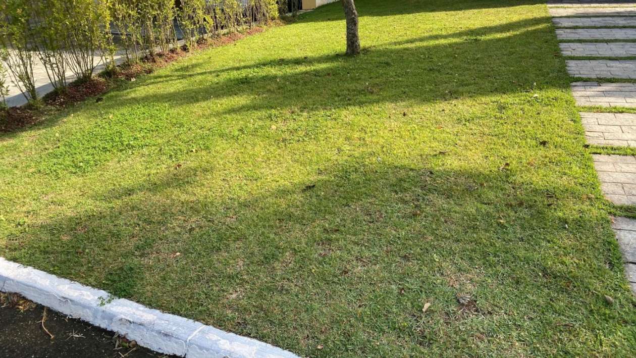Casa de Condomínio, 4 quartos - Foto 44